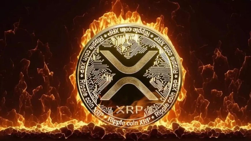 XRP 7 yıl sonra 2.8$ barajını geçti, üçüncü büyük kripto para oldu, TL olarak 50 kat yükseldi